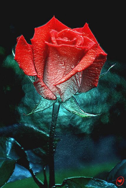 http://p1.s1.flirtic.com/photos/1/8/6/186f587587.jpg?c=0
